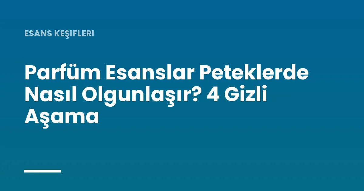 Parfüm Esanslar Peteklerde Nasıl Olgunlaşır? 4 Gizli Aşama